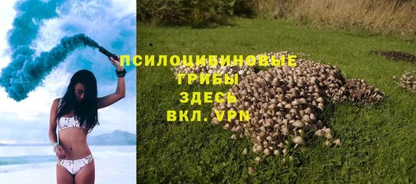 ПСИЛОЦИБИНОВЫЕ ГРИБЫ Нягань