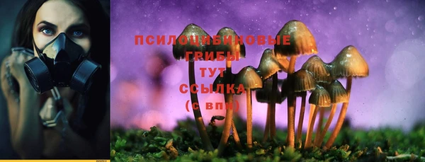 стаф Няндома