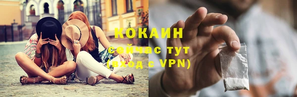 стаф Няндома