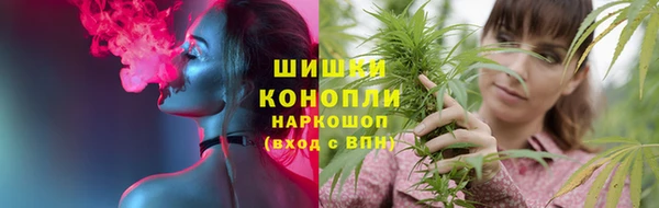 стаф Няндома