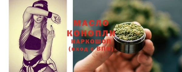 стаф Няндома