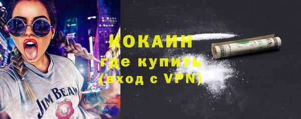 стаф Няндома