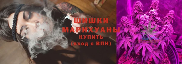 стаф Няндома