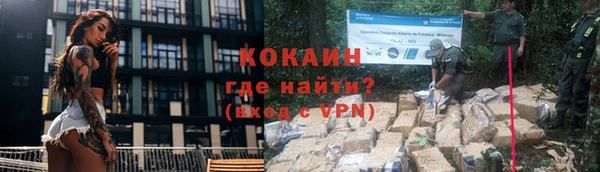 стаф Няндома
